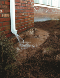 Top 4 Signs You Have A Drainage Problem